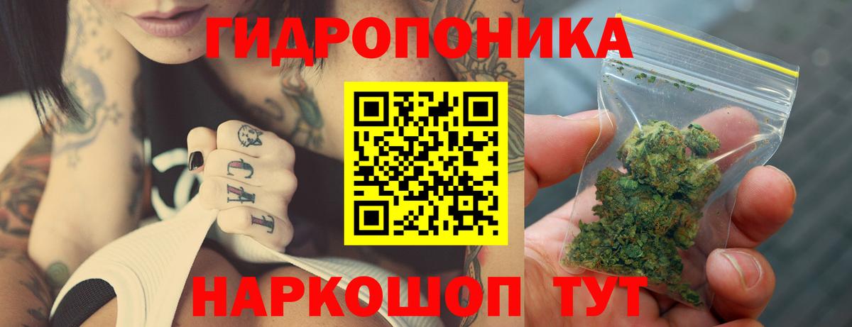 Бошки марихуана конопля  Конопля OG Kush  Вход с VPN  МАРИХУАНА план  Гай 